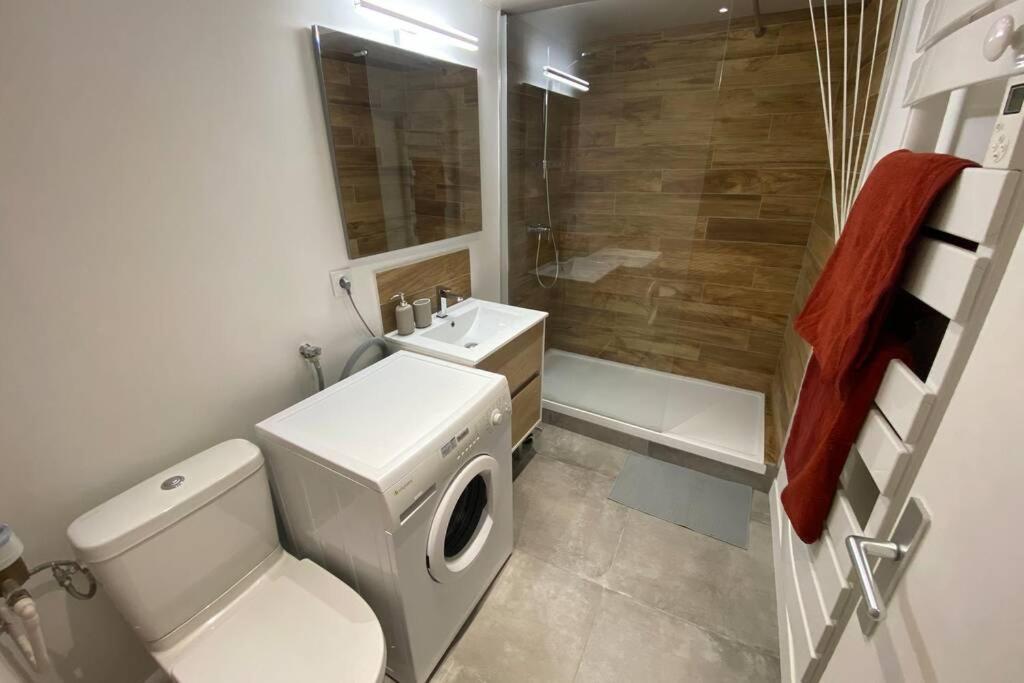 Place De Metz, Hyper-Centre Grenoble, Studio 25 M2 Eksteriør bilde