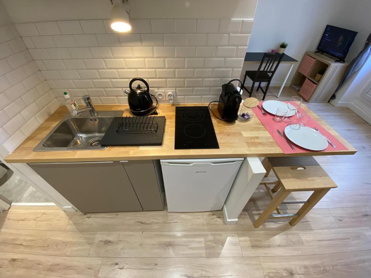 Place De Metz, Hyper-Centre Grenoble, Studio 25 M2 Eksteriør bilde