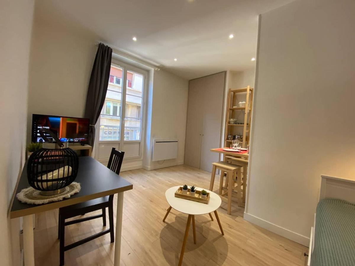 Place De Metz, Hyper-Centre Grenoble, Studio 25 M2 Eksteriør bilde